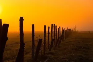 Pastuch elektryczny