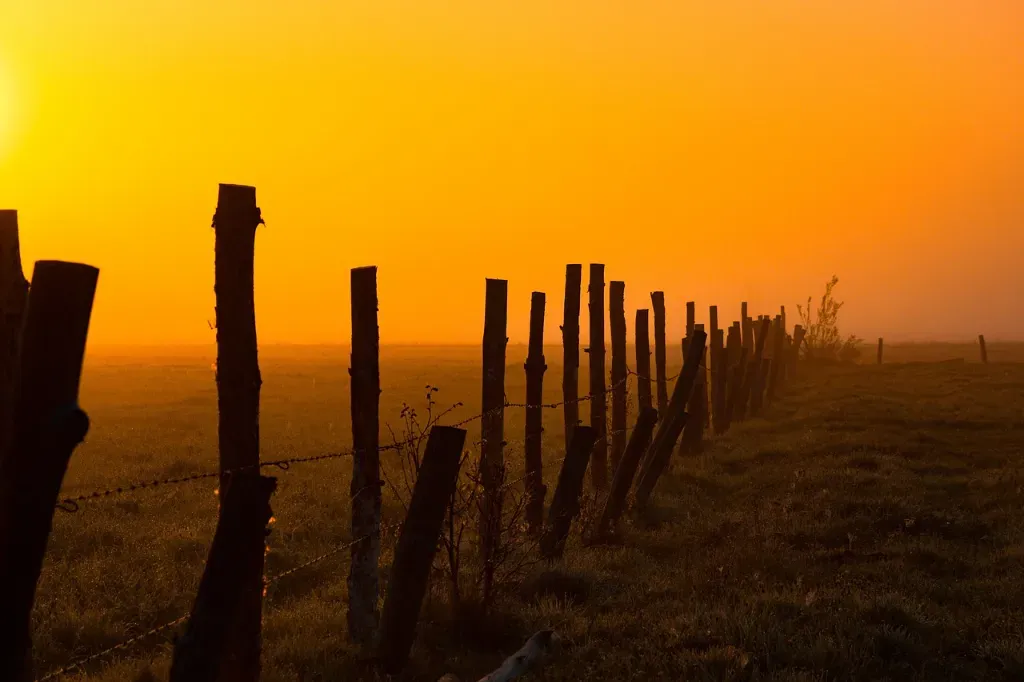 Pastuch elektryczny